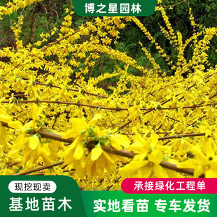 ��߅���B�N��@�ֹ��̾G��������ľ�����ر�ֲ�����޼���߅�B�N��