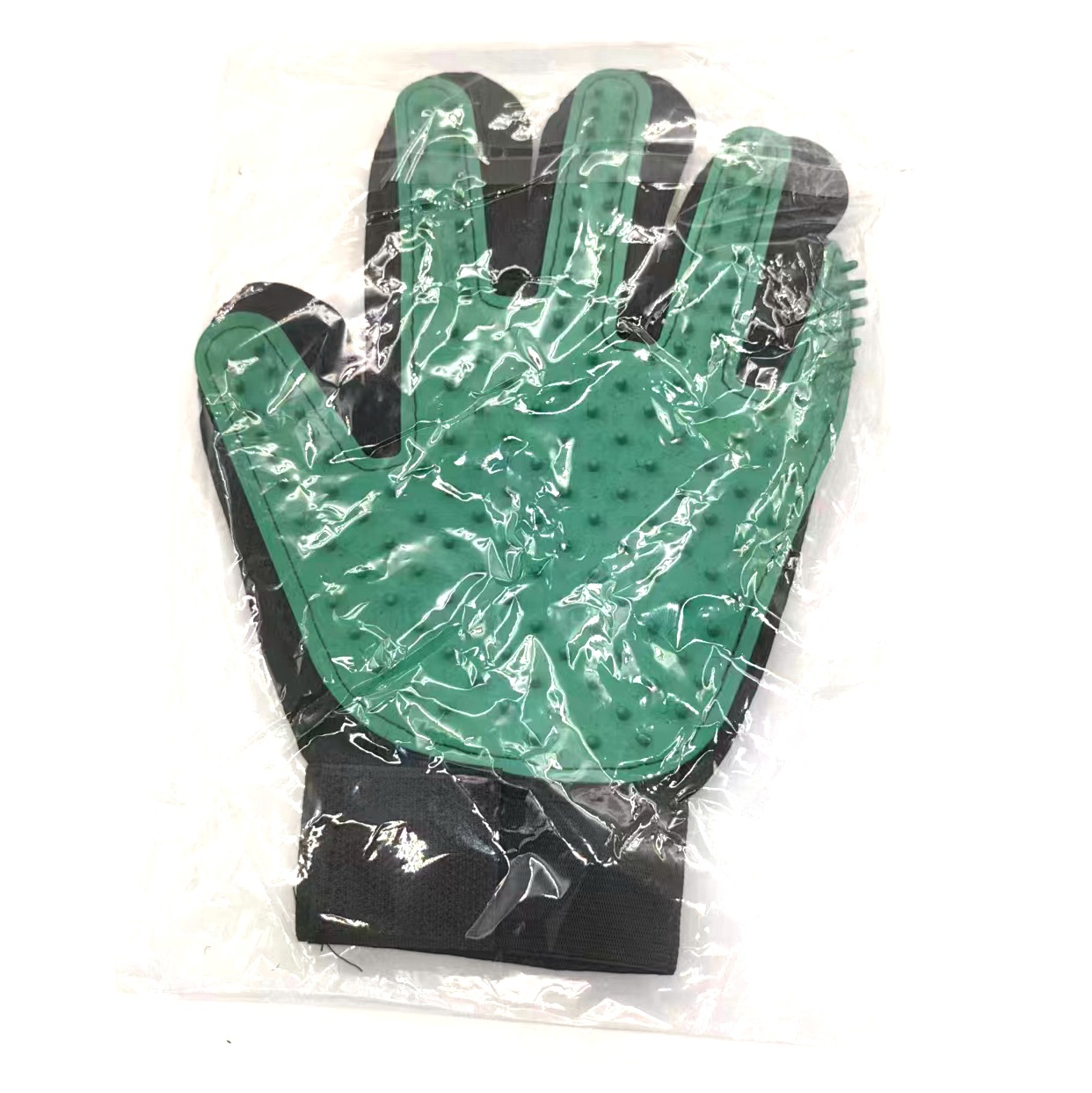 공작 푸른 왼손