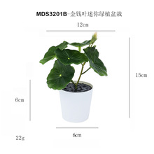 ������������ С���~���X�~��������С�辰����[���YƷ����Gֲ