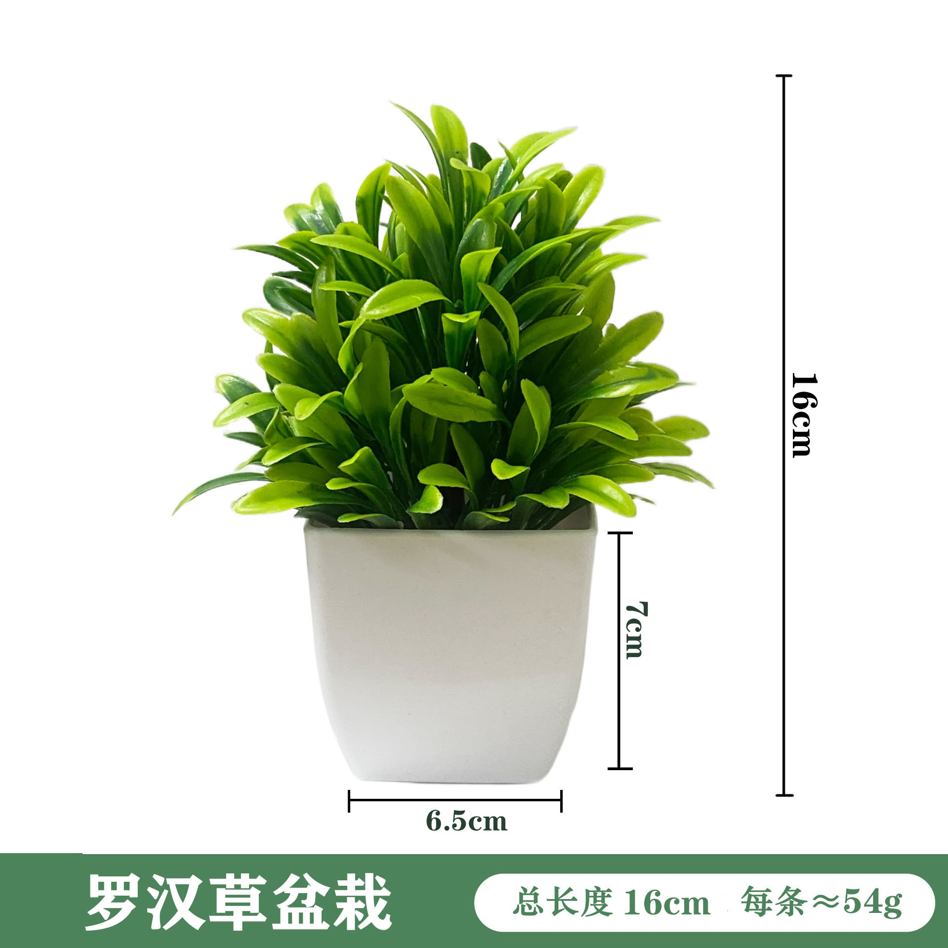 Simulación de maceta para decorar el hogar, plantas verdes, mesa de comedor de lavanda, decoración de oficina, plantas de romero image 19