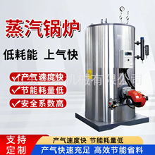 立式生物质蒸汽发生器全自动燃气蒸汽发生设备工业节能蒸汽发生器