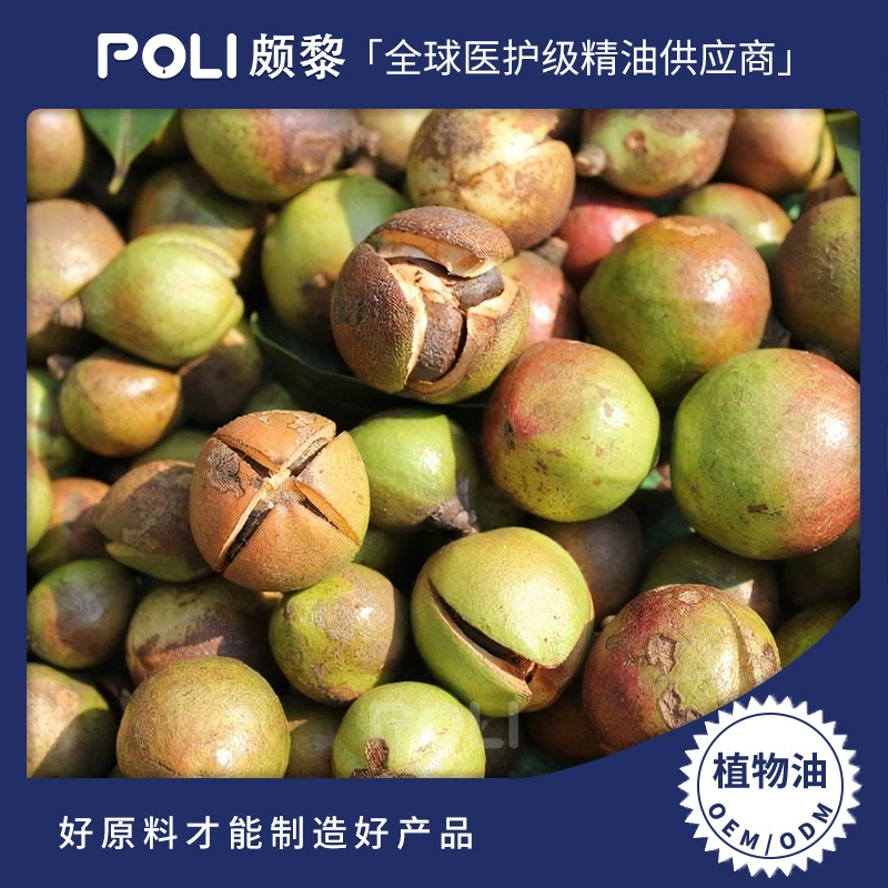Масло семян камелии Эфирное масло сырье оптом наполнение Li Poly одиночное массажное эфирное масло