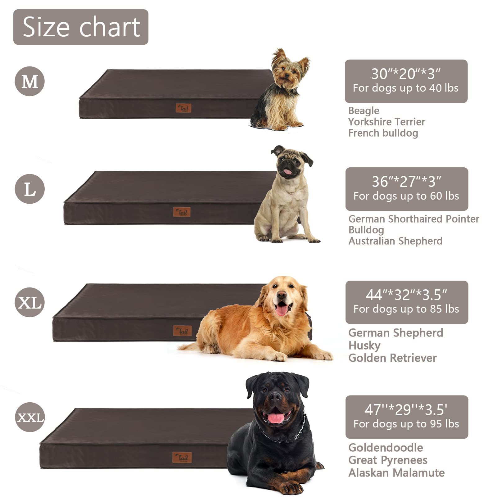 X-Large (44__×32__×