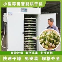 蒜苗烘干机可移动 全自动小型大蒜叶青蒜烘干房 新鲜蒜叶烘干设备