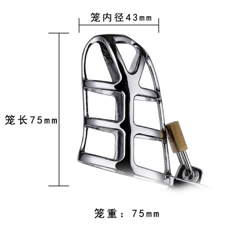 Adult Sex Toys Men's Metal Chastity Lock CB Lock Exercise Flirting Training Scrotum Toys Wholesale Delivery