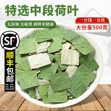 干荷叶材500g荷叶片荷叶片粉另售白术枳实批发零售商用