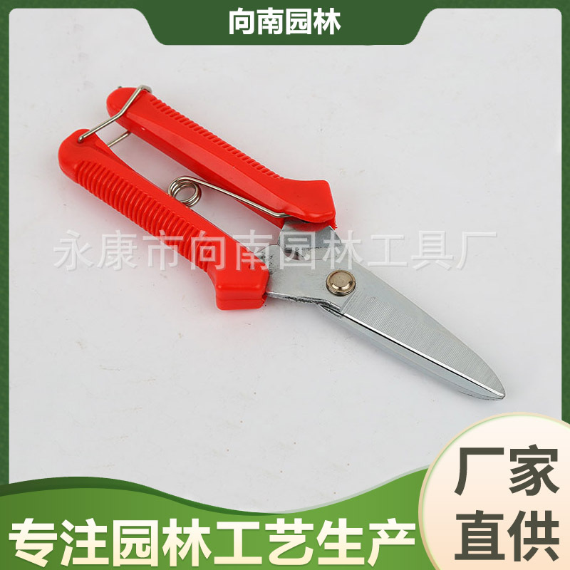 修枝剪 果树树枝盆景剪 园林园艺工具剪刀 铜丝铝线铁皮剪 批发