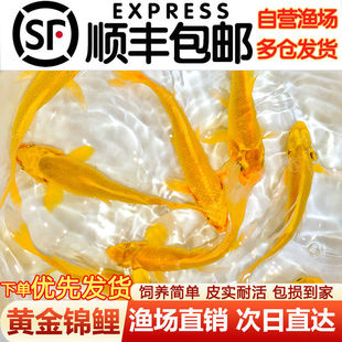 �S���\�����a���~�~���^�p�~С���~���~�B�������~�ͻ��B��������