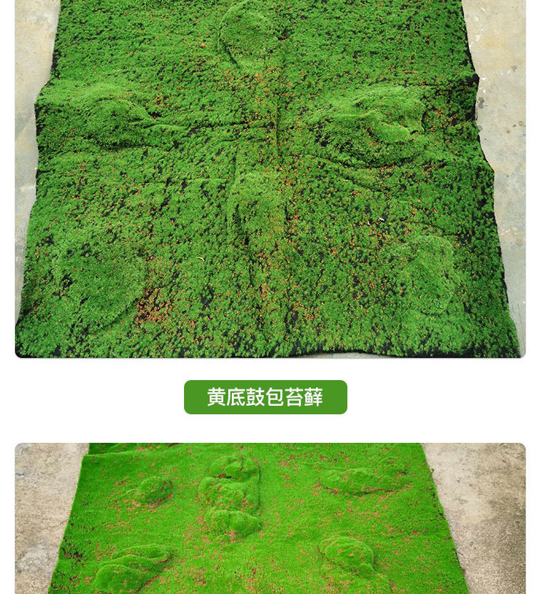 苔藓草皮详情_04.jpg