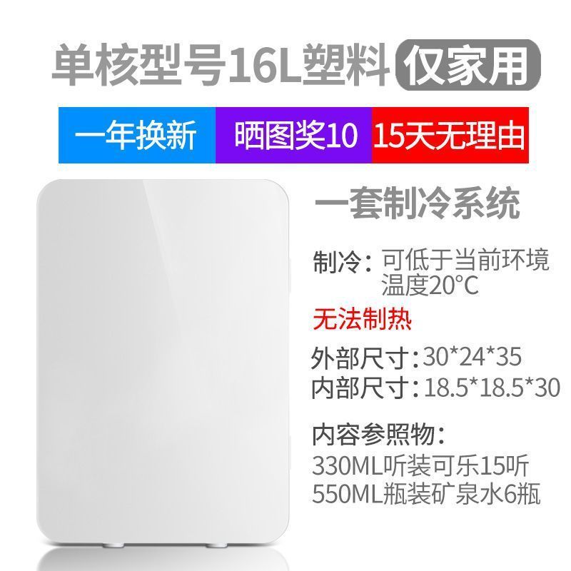 迷你小冰箱家用寝室学生宿舍车家两用小型化妆品冷藏制冷车载冰箱|undefined