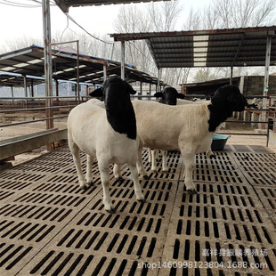 �Ų��d�����ĸ�� ���^�Ų��d��r��Ų�һ���Ҫ����r��