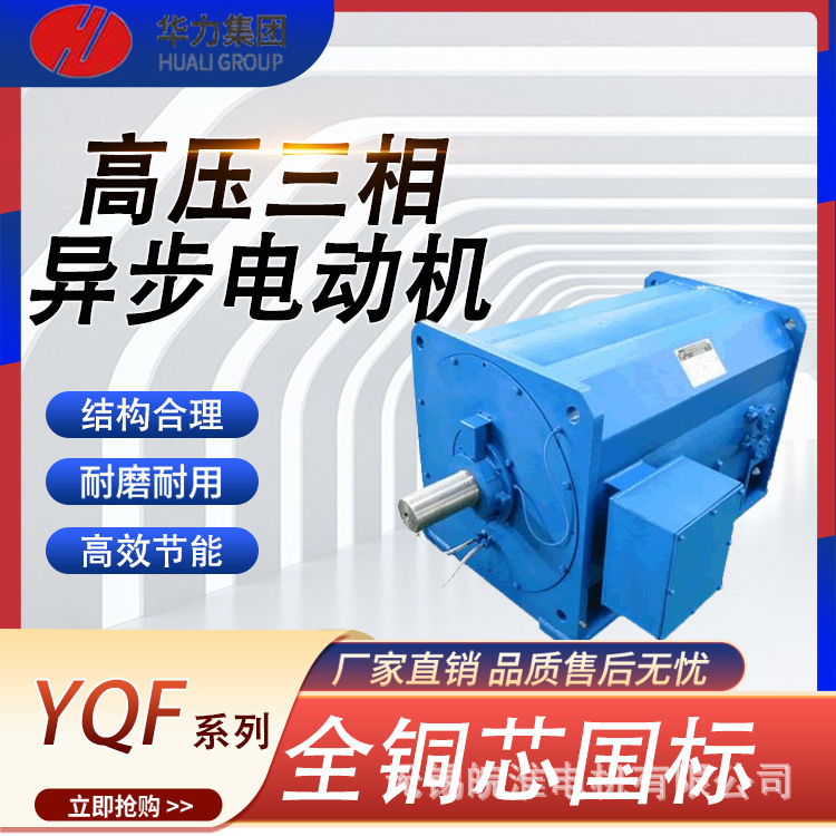 山东华力电机YKS、YKS-W、YQF系列高压三相异步电动机0.75/1.5kw
