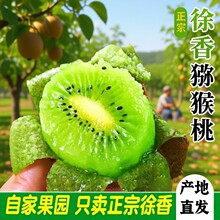 ���ü�h����J�����殐�����r�����r��ˮ�����rˮ���a��ֱ�l�ЋD