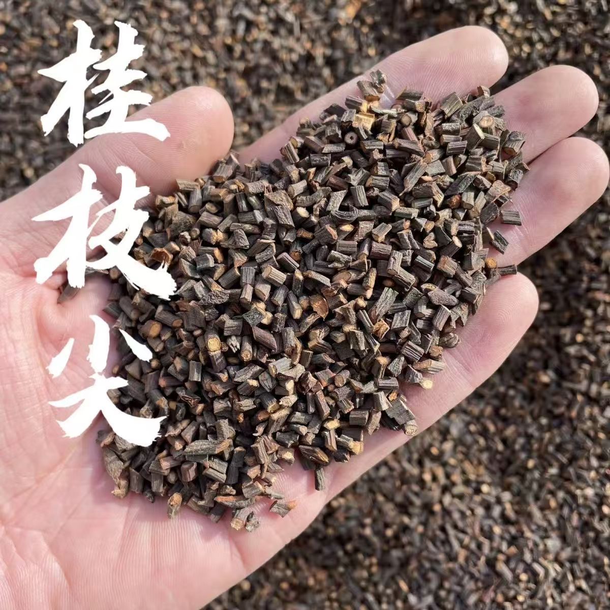 Gui Zhi Cassia Twig Dried Herb Tips 500g Powder Ready Culinary TCM Herb quality and texture