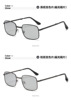 Fashionable sunglasses, 2022 collection
