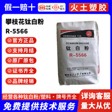 �S�ҹ�����tʯ���Ĵ���֦��R-5566⁰׷���ϰ׶Ⱥ����w����5568