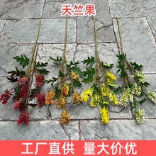 �¿�Gɫ����{�����l ���ù� �Sɫ�tɫ���ӻ�c���滨