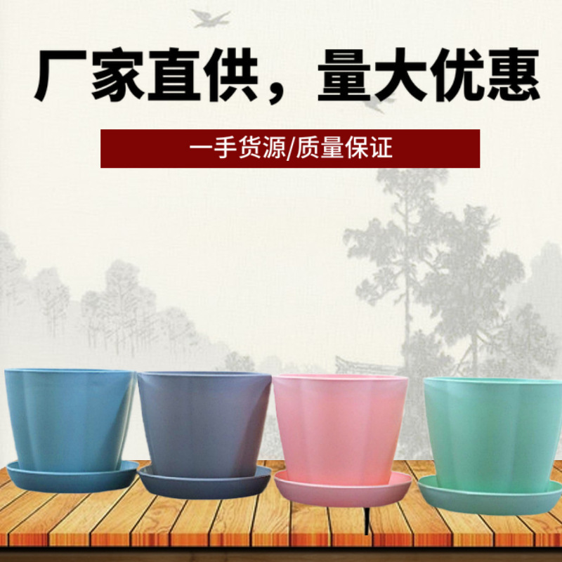 Green Plants, Pothos Seedlings, Succulent Flower Pots, Resin Plastic Flower Containers, Tabletop Pots with Trays, Bonsai, Ins Style