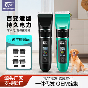 �¿����Ƽ���깷�����ݴ���Ȯ��ë������Ӕ��@��ë��