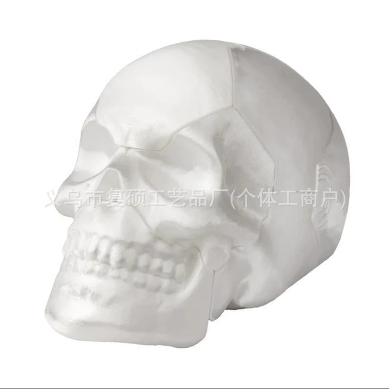 Шестисекционный пазл с черепом, шестисекционный пазл с черепом