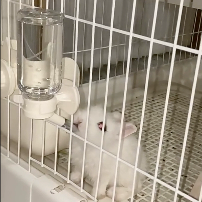 Водонепроницаемая бутылка для воды с шариком для хомяка, питьевой фонтанчик, бутылка для кормления кролика, морской свинки, товары для маленьких домашних животных