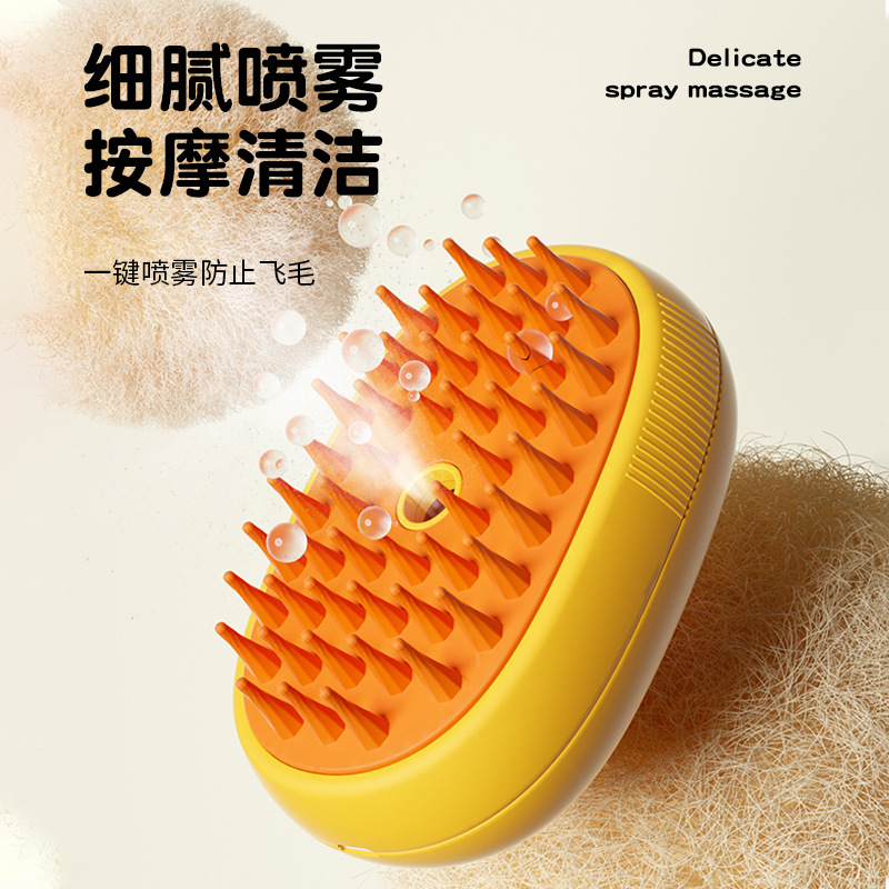 electric brush