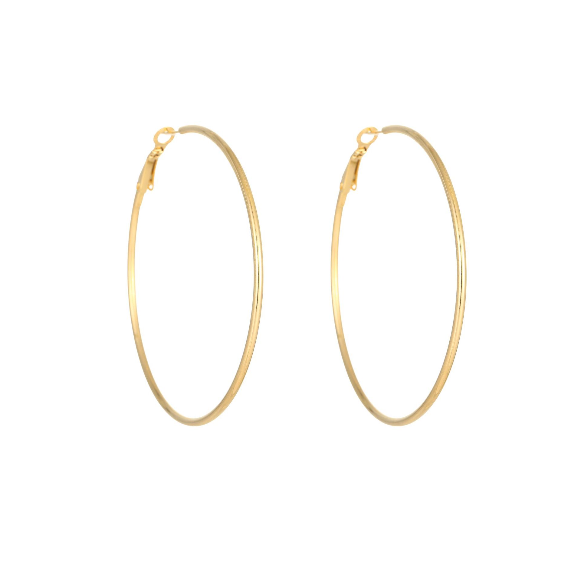 1 Paire Style Simple Géométrique Placage Acier Au Titane Des Boucles D'Oreilles display picture 23