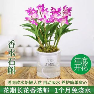 ���B�ͻ��������ˮʯ���m��������ͻ��ܾGֲ�҃������FƤʯ���|