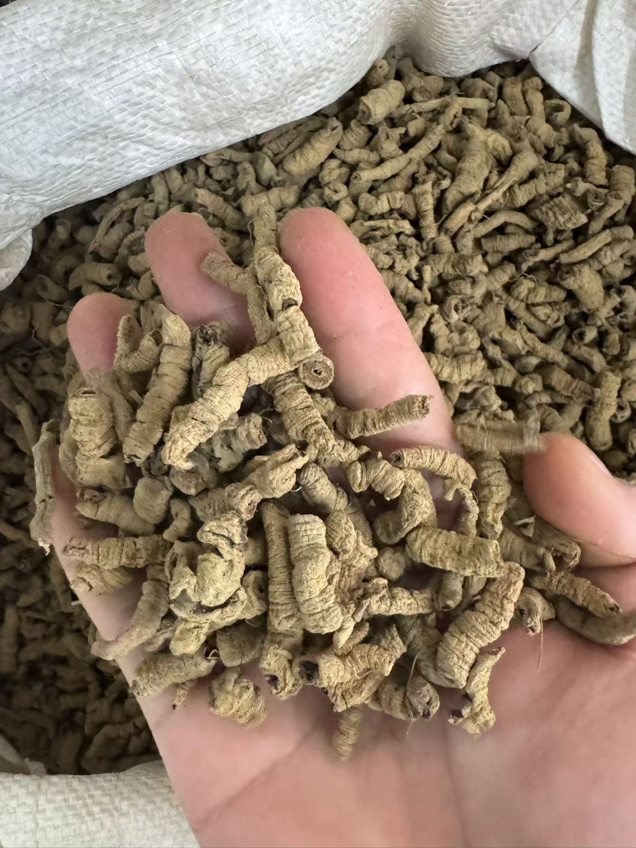 Dried Morinda Root Ba Ji Tian 1000g Whole Root Slices for Decoction and Herbal Wine in use