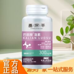 Changjiping Balamine Luosu 63g 工場直販、卸売、砂糖不使用