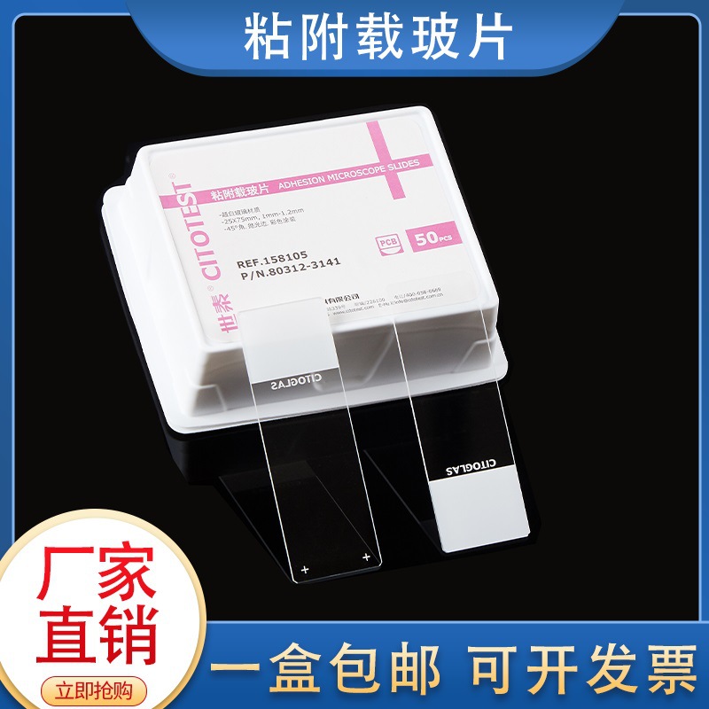 超白玻璃 白色粘附载玻片 硅烷化防脱 158105 CITOGLAS世泰