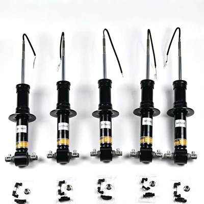 Shock Absorber with – damping system