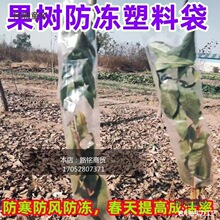 ��ľ���L��ľ�Ӻ��o�s�������ϲ��״������L�ֲ������ϱ���̫��