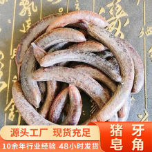 ��ȻҰ��С�����i���������v��ș�ĸ�؛���l�oѬ��o���ӟoȾɫ