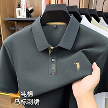 �¿����ʿ�����Polo�����䷭�촿ɫ�������д���С�����ļ�͸