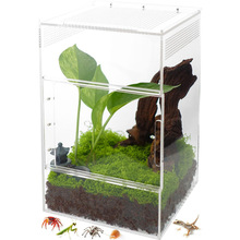 Ɓ͸Ϣ؎pTm֩΁ţΛρ