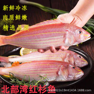 �V���������tɼ�~���~���r������rˮ�a�����t����z�~���~