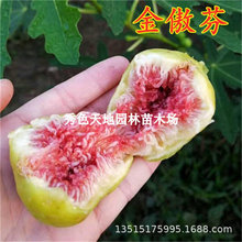 ����ҟo����������ϱ����ش�����ļ��Nֲ�̨���԰�������Y��