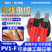 �����~оPV1-F���ֱ����|��2.5/4/6ƽ��늾���|늙C�����Դ��
