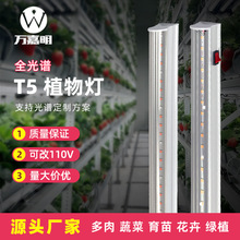 ȫ���VT5ֲ������a��������߲˴���ֲ�﹤�S�҃Ȍ��Nֲ���L��