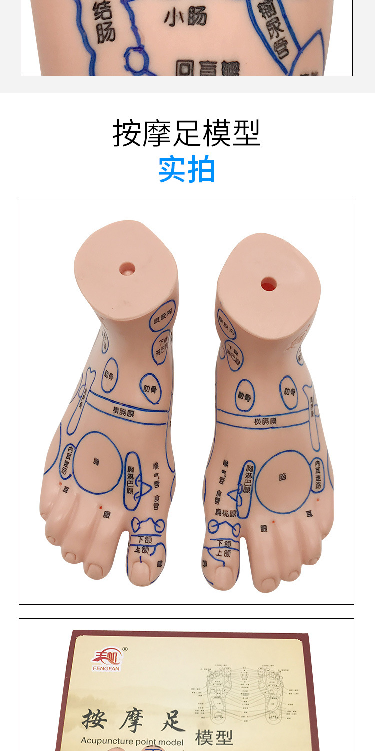 Foot Acupoint Reflexology Model with Clear Markings, Foot Reflex Zone Massager, Acupoint Stick, PVC Foot Model for Home Wellness Routine detail image