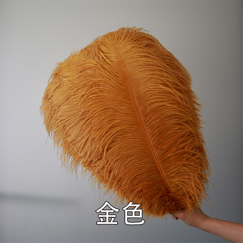 Fabricantes de pelaje de avestruz 50 - 55CM boda guía de la mesa flor de plumas de avestruz adornos de red pared roja plumas de espectáculo de escenario image 21