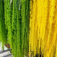 �������������˜I���컨�ĸɻ��滨�ҾӲ廨�b�DIY����ܛ�b�