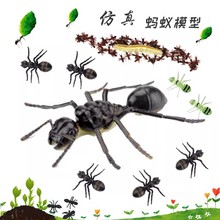 �����СΛρģ�����z����������������x������^ΛρӰҕ����