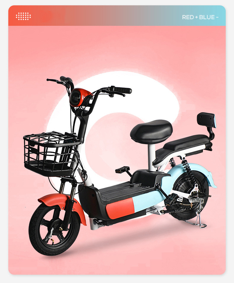 Custom Electric Bicycle, New National Standard, 48V 60V