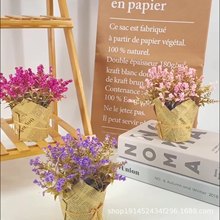 ���Wins��@�L����ֲ���bҾ��҃ȿ͏d���� �[������ǰ�W�t�辰