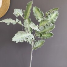 植绒银叶菊雪叶菊芙蓉菊棉毛苏 北欧家居样板间婚庆设计装饰假花