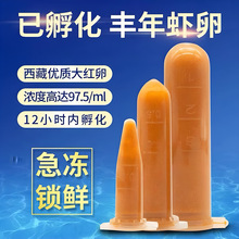 幼虫冷冻小型观赏鱼开口孔雀鱼灯科幼鱼食物免孵化超浓新鲜丰年虾