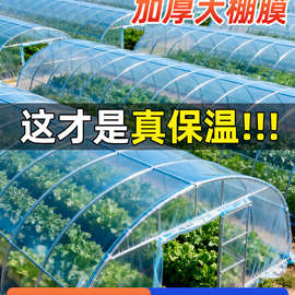 大棚塑料膜透明薄膜防寒保温塑料布农用蔬菜大棚专用膜加厚批发