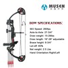 Compound bow for adults, practice, suitable for teen, family style